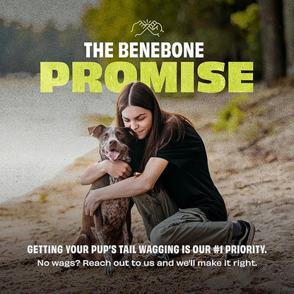 Benebone 3-Pack Ball/Bone Medium/Pawbler Rubber Pet Toys