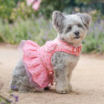 Blueberry Pet Soft & Comfy Floral No Pull Mesh Dog Harness, X-Small, Rose Baby Pink, Dress Harness for Dogs Girl, Small Dog Vest Harness, Fashionable for Puppy Owners