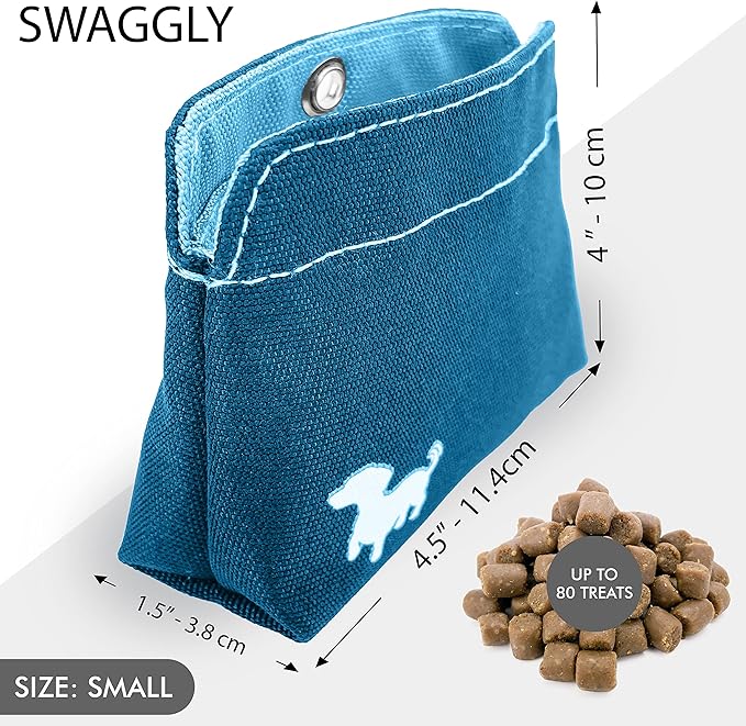 Small Dog Treat Pouch – Slim Magnetic Pocket Dog Treat Bag for Walking & Training – Discreet Clip On Treat Pouch for Leash, Waistband or Pocket – Mess Free Storage (Turquoise)