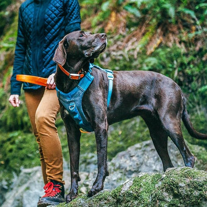 Kurgo Journey Air Dog Harness - Secure Fit for Active Dogs - Padded Chest - Lightweight Ripstop Fabric - Breathable Mesh - Reflective Trim - Back Assist Handle - Blue - Medium