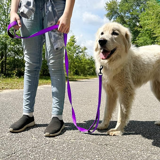 Joytale Dog Leash Heavy Duty for Large Dogs that Pull, Double Handle for Traffic Control, Double-Sided Reflective Leashes for Large Medium Dogs Night Safety, 6FT, Purple