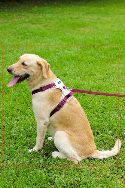 3 in 1 No Pull Dog Harness Leash and Collar Set, Soft Adjustable Dogs Vest Reflective and Comfortable Handle Pink Medium