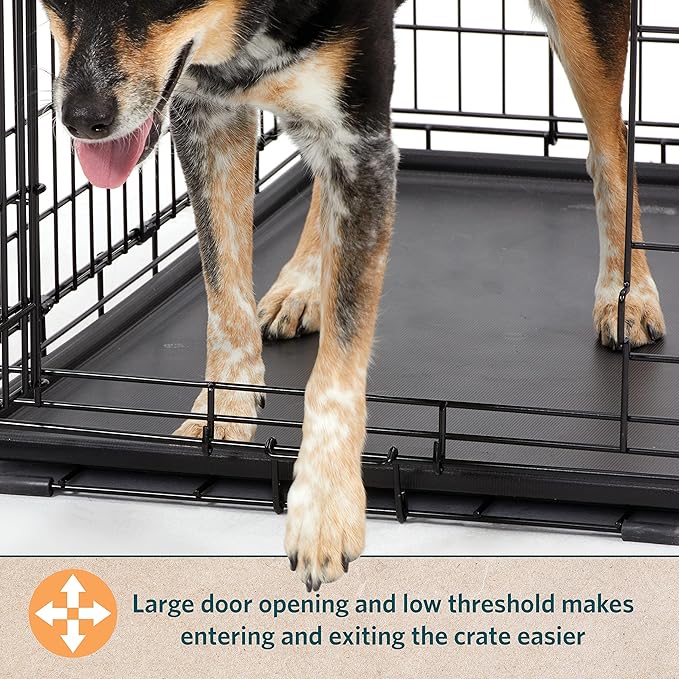 MidWest Homes for Pets 24-Inch LifeStages Crate for Small Breeds, 12-20 lbs, Single Door Folding Dog Crate with Divider Panel, Leak-Proof Tray & Secure Latch, Heavy-Duty & Easy to Assemble