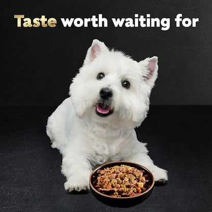 Cesar Home Delights Adult Wet Dog Food,Pot Roast with Spring Vegetables,Beef Stew,Turkey,Green Beans,& Potatoes,and Hearty Chicken & Noodle Dinner in Sauce Variety Pack,3.5 oz.,24 Count (Pack of 2)