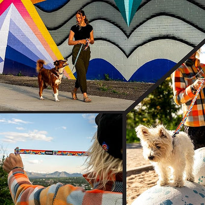 Wolfgang Heavy Duty Dog Leash, Pull-Tested for Walking & Training, MountainVibes Print, Large