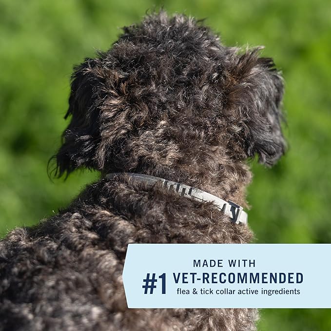 PetArmor Extend Dog Flea and Tick Treatment & Prevention Collar for Small Dogs up to 18 lbs., 8 Months of Protection, Odorless & Non-Greasy, Waterproof, Kills Fleas, Ticks, and Larvae, 1 Count