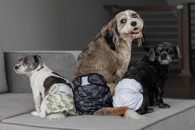 Pet Parents® Washable Dog Diapers (3pack) + Extendrs® of Durable Doggie Diapers, Premium Dog Diapers Female & Male (Large, Camo)