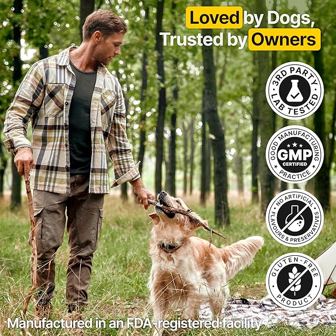 Flea and Tick Prevention for Dogs Chewable – Natural Flea Pills for Dogs, All Breeds & Ages, Chicken Flavor – Dog Flea and Tick Treatment Chewable Supplement – 1 Pack, 170 Count, Made in USA