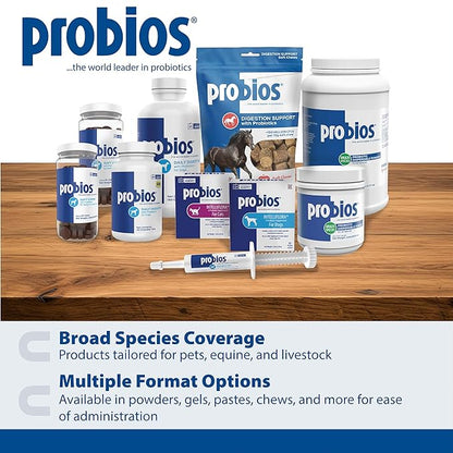 Probios Chewable Tablets for Dogs, Daily Probiotic Supplment for Gut Health, Digestion & Immune Support, 45 Count