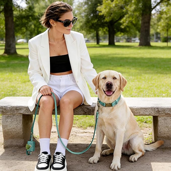 Didog Soft PU Leather Dog Collar, Stylish Quick Released Dog Collar for Large Dogs, Easy Clean Adjustable Pet Collar for Daily Walking, Green, L Fit 16-22" Neck