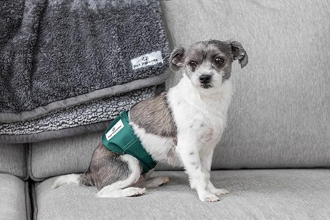 Pet Parents® Washable Belly Bands for Male Dogs (3pack) + Extendrs® of Durable Dog Diapers Male, Premium Male Dog Diapers & Dog Wraps (X-Small, Spruce)