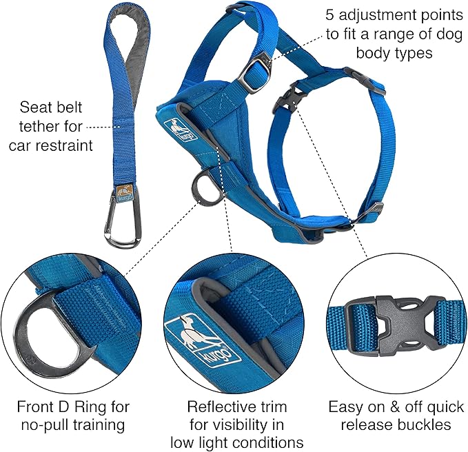 Kurgo Tru-Fit Smart Dog Walking Harness - Comfortable Fit - Adjustable Harness - Reflective Pet Wear - Quick Strap Release - Daily Walk Accessory - Includes Seat Belt Loop - Blue - X-Small
