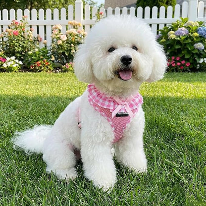 SuperBuddy Upgraded Soft Mesh Dog Harness, Super Breathable Lightweight Pet Harnesses for Puppy Outdoor Walking, Pink -XSmall