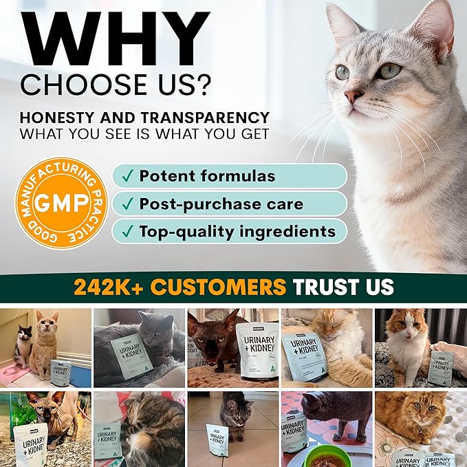 Petz Park Urinary + Kidney Support for Cats 60 Scoops, Cat Urinary Supplement, Tract Support Powder, Cat Food Topper for Wet or Dry Food, Made in Australia