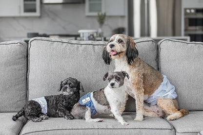 Pet Parents® Washable Belly Bands for Male Dogs (3pack) + Extendrs® of Durable Dog Diapers Male, Premium Male Dog Diapers & Dog Wraps (X-Small, Kahuna)