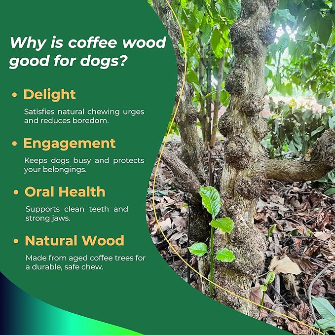 Set of 1 Coffee Wood Dog Chew Stick Toy for Dog, Natural and Real Wooden Bone Sticks for Pets, Safe Dental Cleaning Chews, Pets Health, Teeth Cleaning and Relieve Stress (Large)