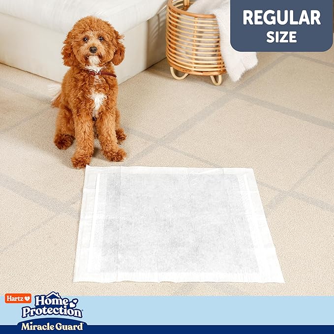 Hartz Miracle Guard Dog and Puppy Dog Pads Max Absorbency 24 Hour Use Odor Eliminating No Leaks, Regular Size 25 Count