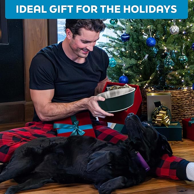 Master Pet Supply Stainless Steel Dog Bowls Set of 2 (128 Oz Each) with Non-Slip Rubber Base - Pistachio - Basic Dog Food Bowl Water & Food Bowls for Small Medium Large Dogs & Cats, Metal Dish
