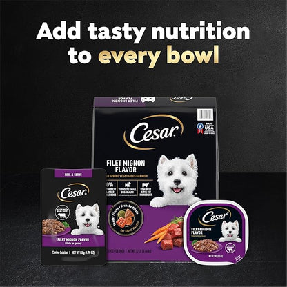 Cesar Filets in Gravy Wet Dog Food, Filet Mignon Flavor, Wet Food for Dogs, 1.76 oz. Mini-Pouches, 20 Count