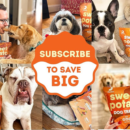 Davie's Sweet Potato Dog Treats - Healthy Dog Chews, Low Fat, Made in USA, 1 lb Bag - Pack of 5