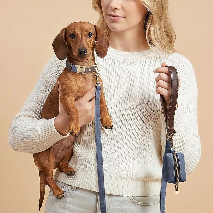 Didog Soft PU Leather Dog Collars for Small Dogs,Classic Adjustable Dog Collars with Quick Release Metal Buckle,Easy Clean and Comfortable with Nylon Lining,Blue,S Neck 11-15"