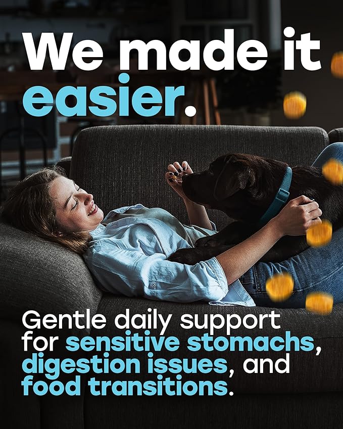 Probiotics for Dogs – Gut Health Support for Less Gas, Better Digestion & Regular Stools – Soft Beef Chews with Digestive Enzymes, Prebiotics & Fiber – 140 Count