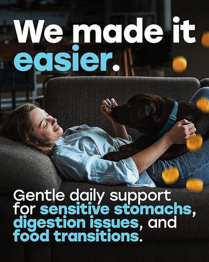 Probiotics for Dogs – Gut Health Support for Less Gas, Better Digestion & Regular Stools – Soft Beef Chews with Digestive Enzymes, Prebiotics & Fiber – 140 Count