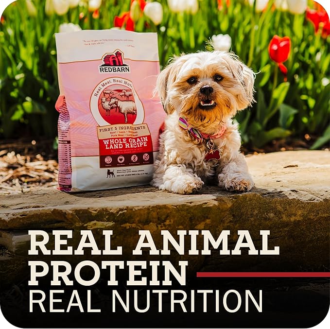 Redbarn Grain-Free Large Breed Dog Food Kibble - Beef & Lamb Recipe - Made in USA No Chicken Recipe with Functional Ingredients to Support Healthy Heart, Joints, Digestion, Skin & Coat - 28lb