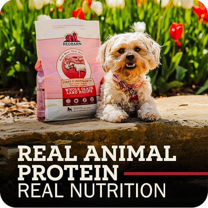 Redbarn Whole Grain Large Breed Dog Food Kibble - Beef & Lamb Recipe - Made in USA No Chicken Recipe with Functional Ingredients to Support Healthy Heart, Joints, Digestion, Skin & Coat - 28lb