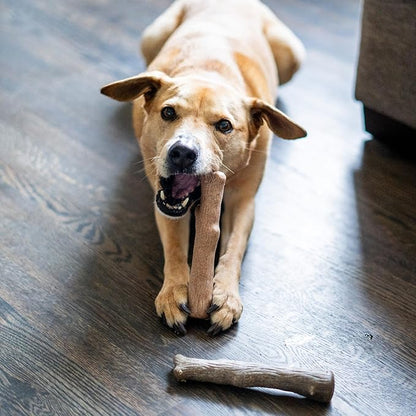 Pupstages Dogwood Calming Dog Chew Toy – Real-Wood Blend, Moderate Chewers, Medium, 7.5", 2-Pack (Natural & Hemp Flavors)