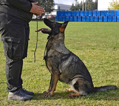 Dingo Gear Dog Choke Collar Hand Sewn Strong Polypropylene Braided Cord Two Limiters Waterproof Choker for K9 Training IGP Agitation Bite Work Obedience XS - Black (S04046)
