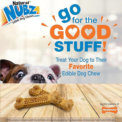 Nylabone Nubz Wild Natural Dog Chew Treats for Small Dogs, Long Lasting Dog Chew Bones Made in USA, Bison Flavor, for Dogs Up to 25 lbs. (12 Count)