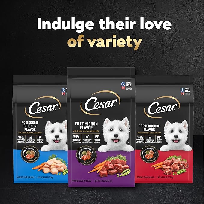 Cesar Small Breed Dry Dog Food for Small Dogs, Filet Mignon Flavor and Spring Vegetables Garnish, 2.7 lb Bag