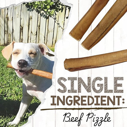 Nature Gnaws Extra Large Bully Sticks for Dogs 5-6" (6 Count) - Thick Long Lasting for Aggressive Chewers and Heavy Chewers - Natural Beef Dog Chew Bones