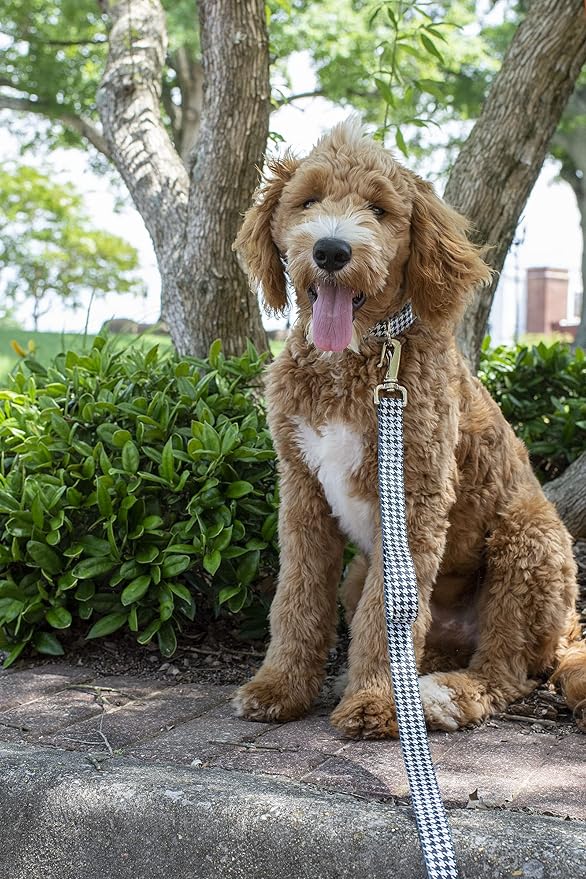 Country Brook Petz - Houndstooth Everyday Dog Collar and Leash - Sports and Athletics Collection Featuring Spirited Designs (5/8 Inch, Small)