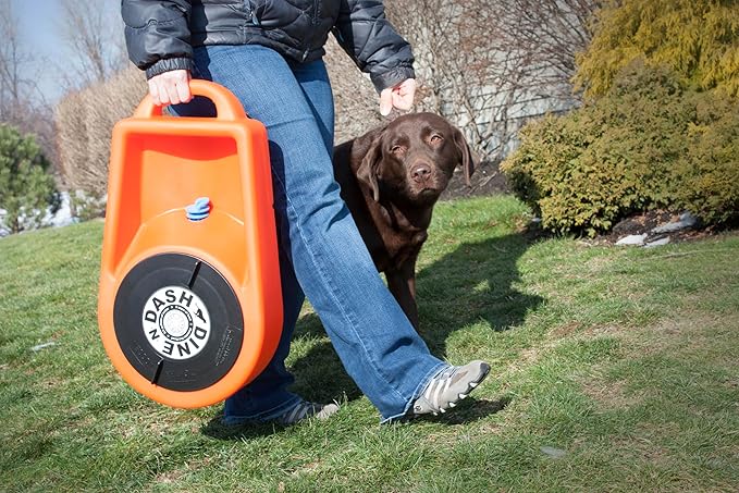 Dakota 283 Dine N Dash Feeding System - Orange