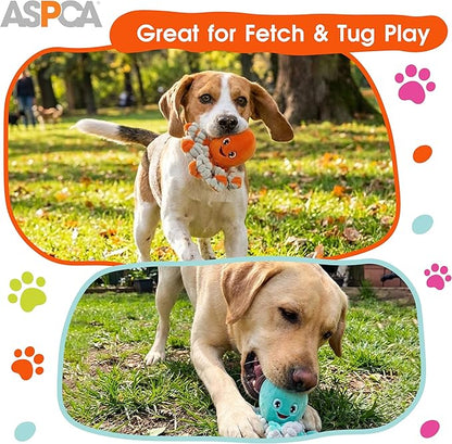 ASPCA 2-Pack Octopus Plush Dog Toys with Squeaker – Squeak & Tug Interactive Toys with Bungee Legs, Soft Cuddly Plush for Fetch, Tug, and Playtime