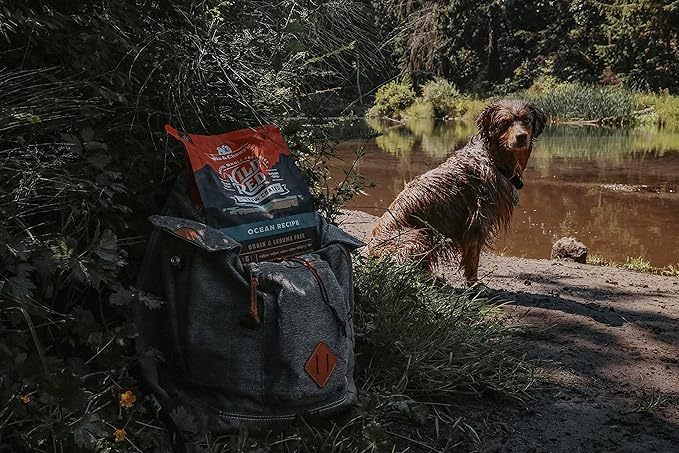 Stella & Chewy's Wild Red Dry Dog Food Raw Coated High Protein Grain & Legume Free Ocean Recipe, 21 lb. Bag