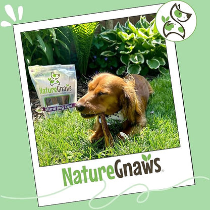 Nature Gnaws Small Bully Sticks for Dogs 5-6" (15 Count) - Long Lasting for Light Chewers and Puppies - Natural Thin Beef Dog Chew Bones - Rawhide Free