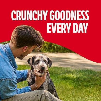 Milk-Bone Original Biscuits, Medium Dog Treats, 4 Lb. Box
