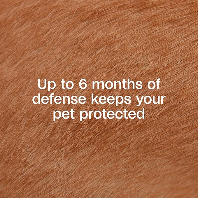 ADAMS Flea & Tick Collar Plus for Dogs & Puppies, 12 Months Protection Against Flea Infestations, Kills Fleas & Ticks, Repels Mosquitoes for Up to 6 Months (Excl. California), One Size Fits All, 2 ct