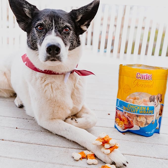Cadet Gourmet Chicken Wrapped Biscuit Dog Treats, Training Treats for Small and Large Dogs, Inspected & Tested in USA, 14 oz.