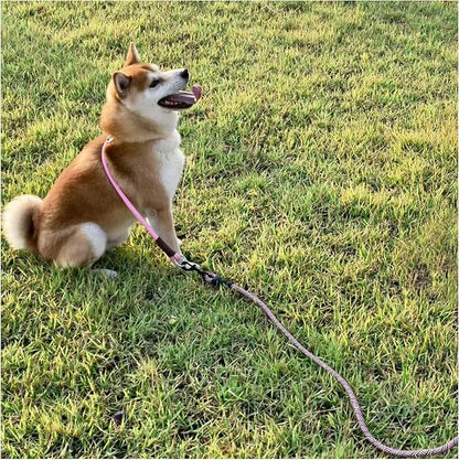 MayPaw Slip Collar Nylon Rope Adjustable Collar for Dog Training- No Pull Round Martingale Dog Collars for Small Medium Large Dogs