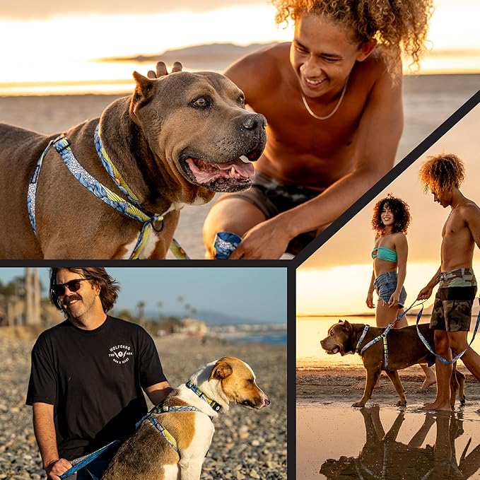 Wolfgang Heavy Duty Adjustable Dog Harness, Pull-Tested to Over 800 lbs for Walking & Training, DawnPatrol Print, Medium