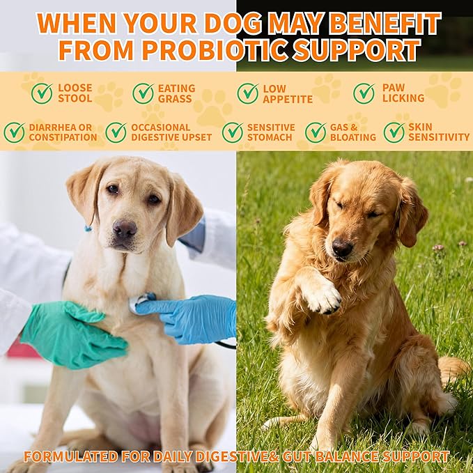 Probiotics for Dogs - 6 Digestive Probiotics & 6 Enzymes for Itchy Skin,Digestion & Gut Support,Helps Diarrhea, Yeast Infection, Upset Stomach,Allergies & Immune System Support-150 Chews