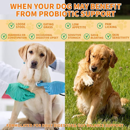Probiotics for Dogs - 6 Digestive Probiotics & 6 Enzymes for Itchy Skin,Digestion & Gut Support,Helps Diarrhea, Yeast Infection, Upset Stomach,Allergies & Immune System Support-150 Chews