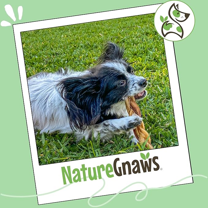 Nature Gnaws Braided Gnaws for Dogs 5-6" (3 Count) - Long Lasting for Small and Medium Dogs - Natural Beef Bully Stick Combo Braids - Rawhide Free