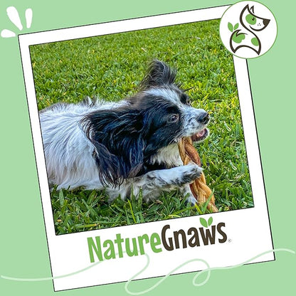 Nature Gnaws Braided Gnaws for Dogs 5-6" (12 Count) - Long Lasting for Small and Medium Dogs - Natural Beef Bully Stick Combo Braids - Rawhide Free