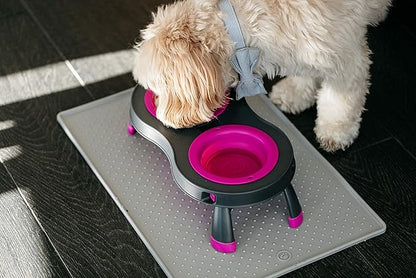Dexas Pets Double Elevated Pet Feeder, Fuchsia, Small/1 Cup Capacity Bowls (PW1004322405) (Pack of 2)