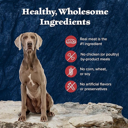 Blue Buffalo Wilderness Rocky Mountain Recipe Senior Wet Dog Food, High-Protein & Grain-Free, Made with Natural Ingredients, Red Meat Recipe, 12.5-oz. Cans (12 Count)